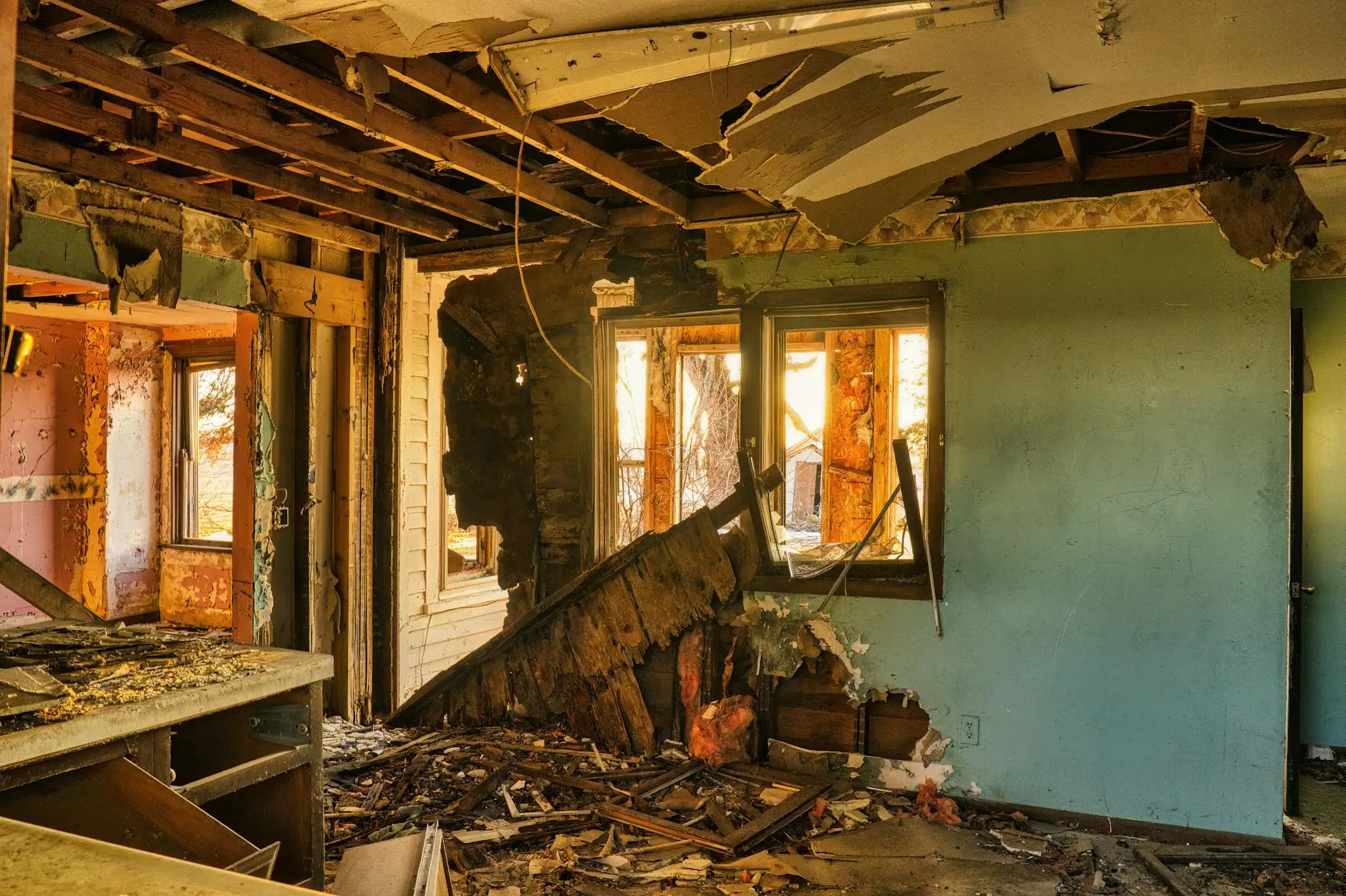 Frederick's Local Mold Remediation Specialists — Frederick, MD